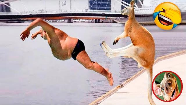 Приколы С Животными🔥😂Приколы 2023|Смешное Видео|Смешные Животные