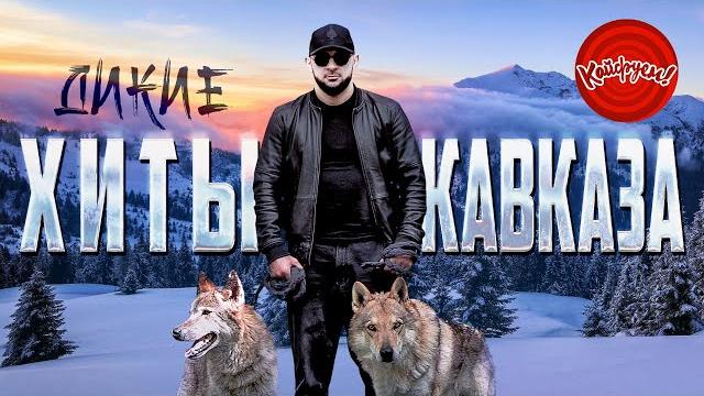 Дикие Хиты Кавказа #Музыка #Music @Kaifuem026